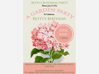 party invitations salisbury